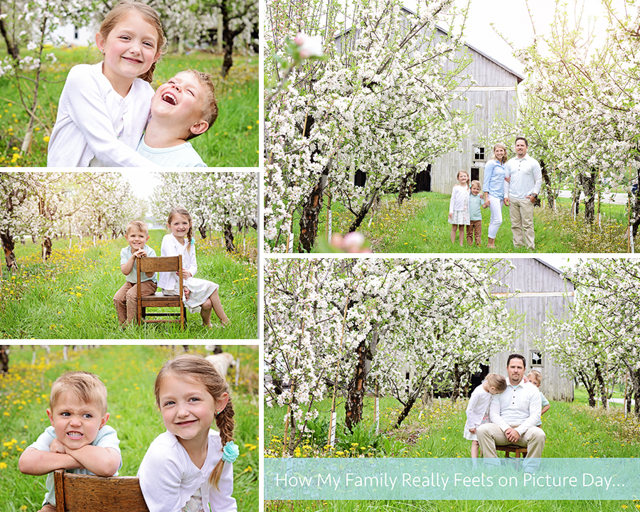 family pictures, apple orchard family pictures, outdoor family pictures, sibling portraits