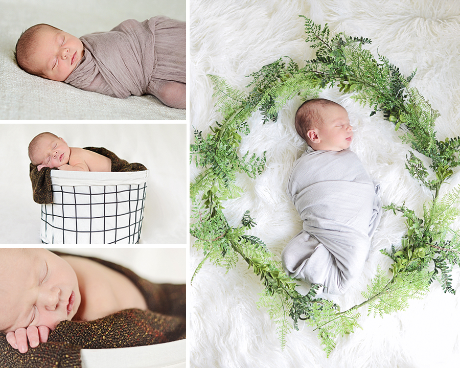 Newborn portraits, newborn boy portraits, neutral newborn pictures, Columbia City Newborn Photographer
